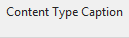 1. Content Type Caption